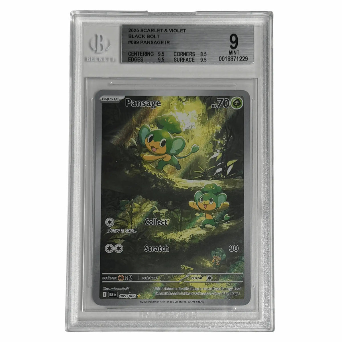 Pokémon - Pansage IR #089 (Black Bolt) – BGS 9 Mint