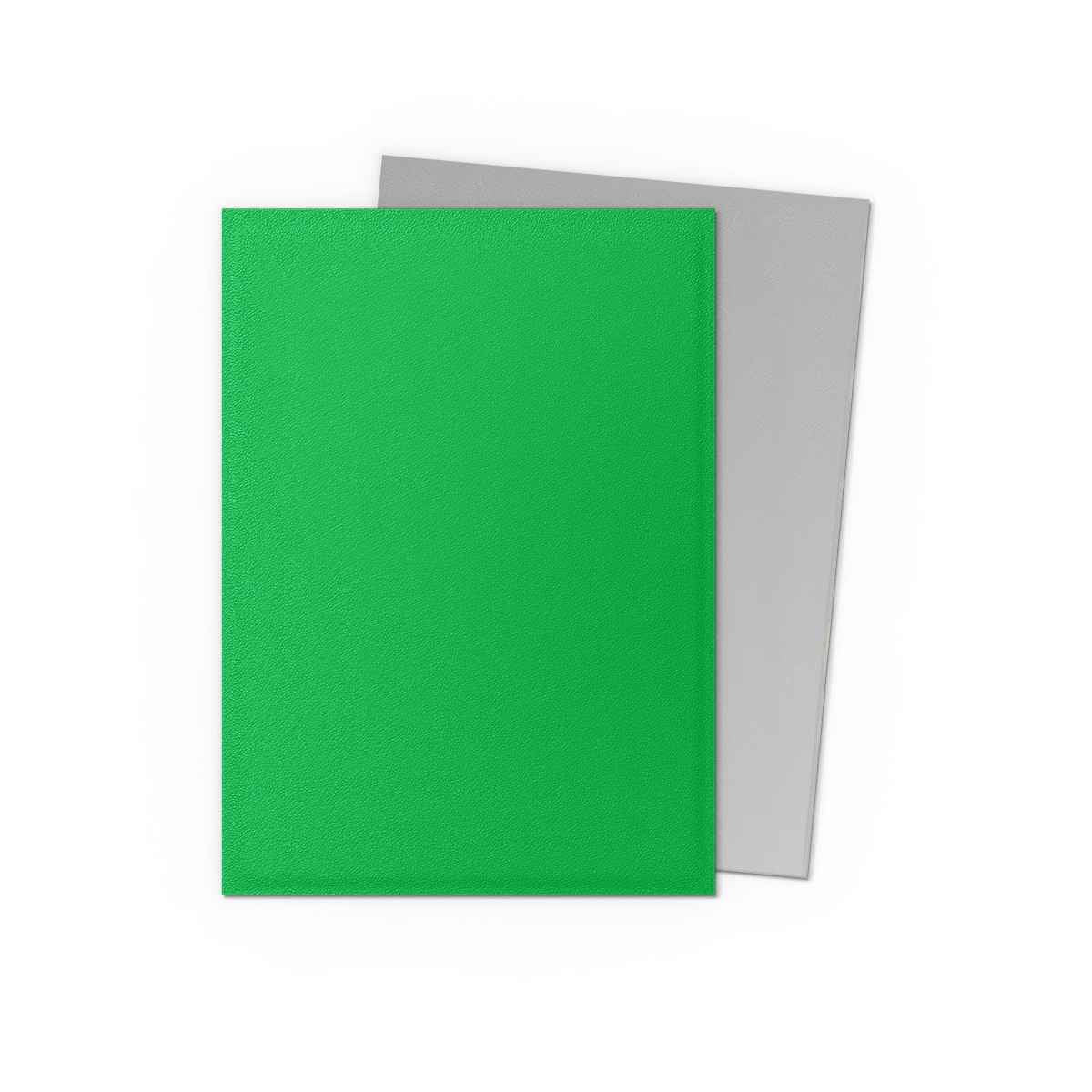 Dragon Shield Bustine protettive – Dual Matte Verde Mela & Argento (100 pezzi)